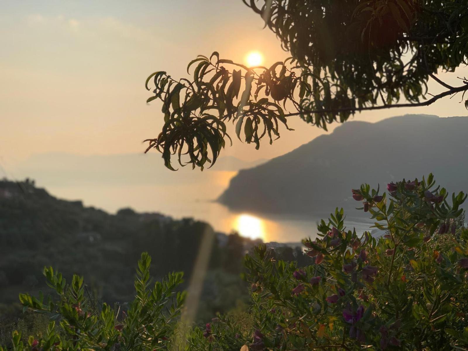 Romantic Lemonia Cottage Skopelos Zewnętrze zdjęcie